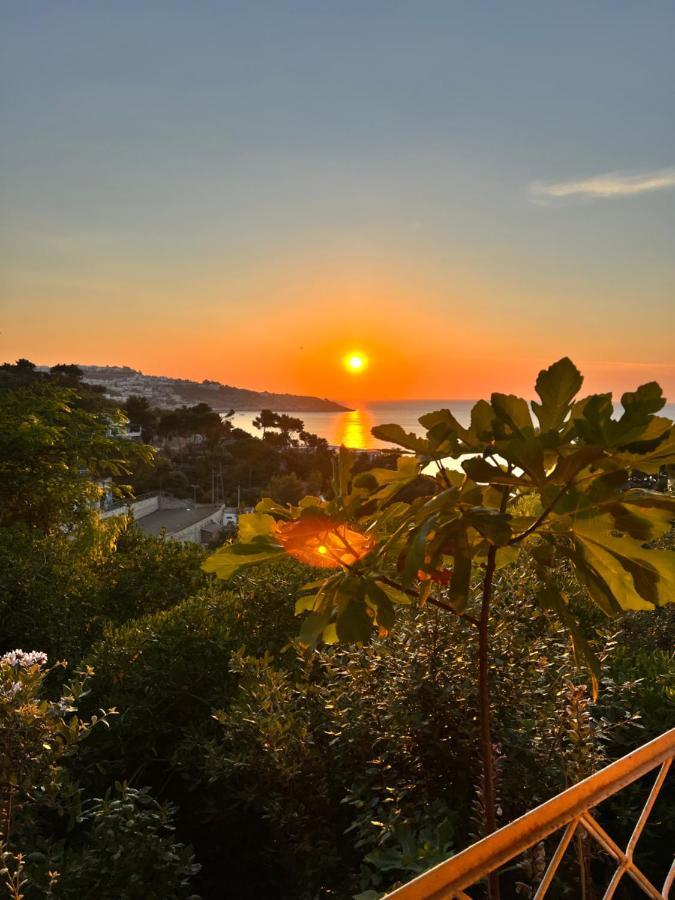 Villa La Cala on Acquaviva Marittima Esterno foto